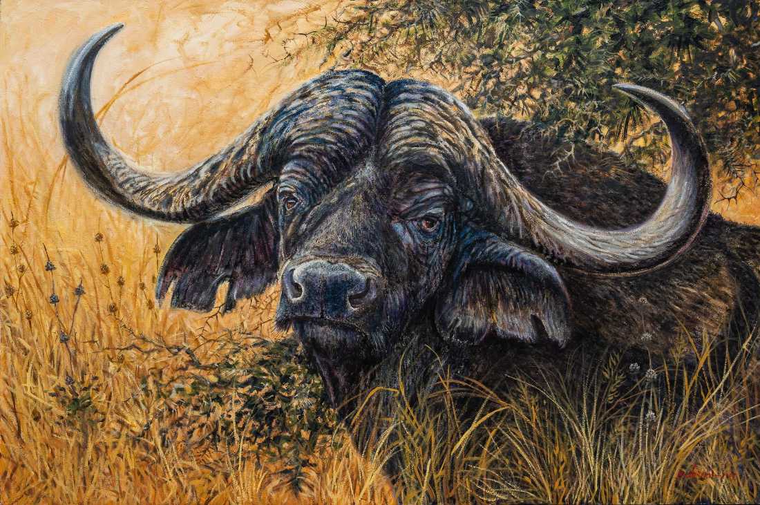 Gilbert Duran | Mud King