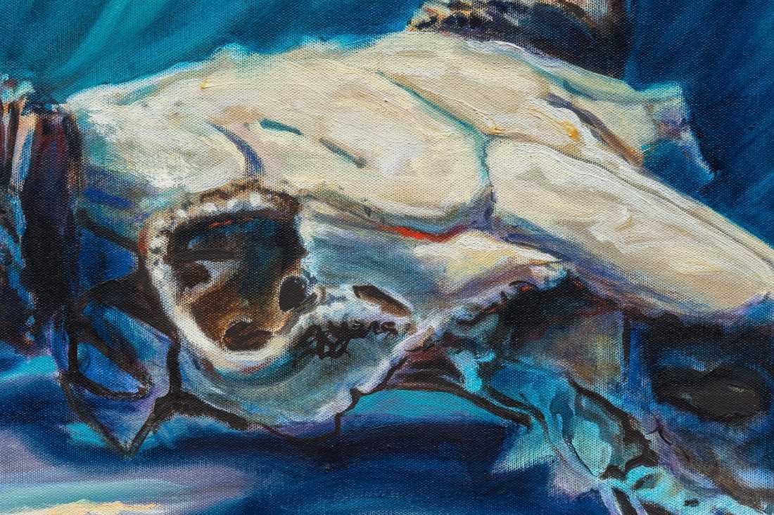 Gilbert Duran | Shark and Buffalo Skull