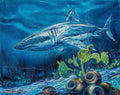 Gilbert Duran | Underwater Shark and Cactus