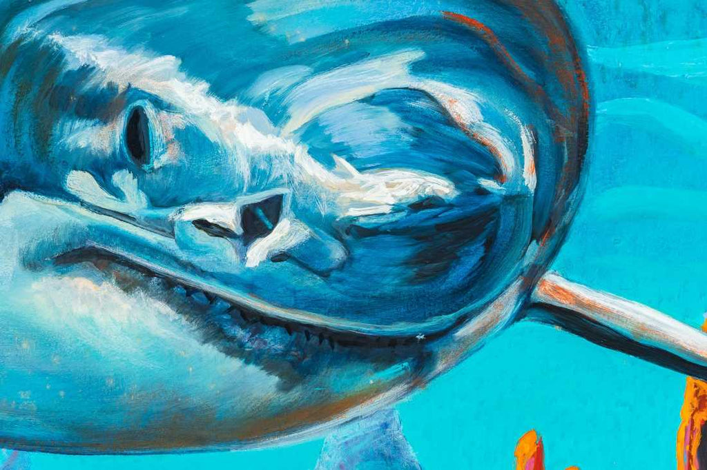 Gilbert Duran | Shark and Pots