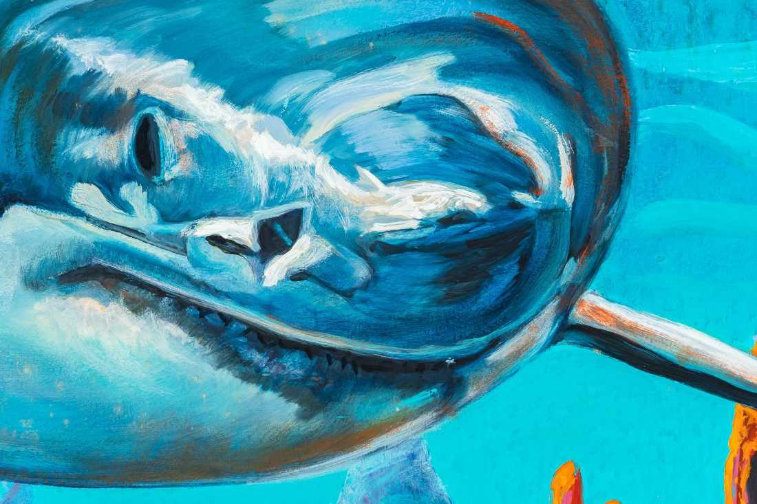 Gilbert Duran | Shark and Pots