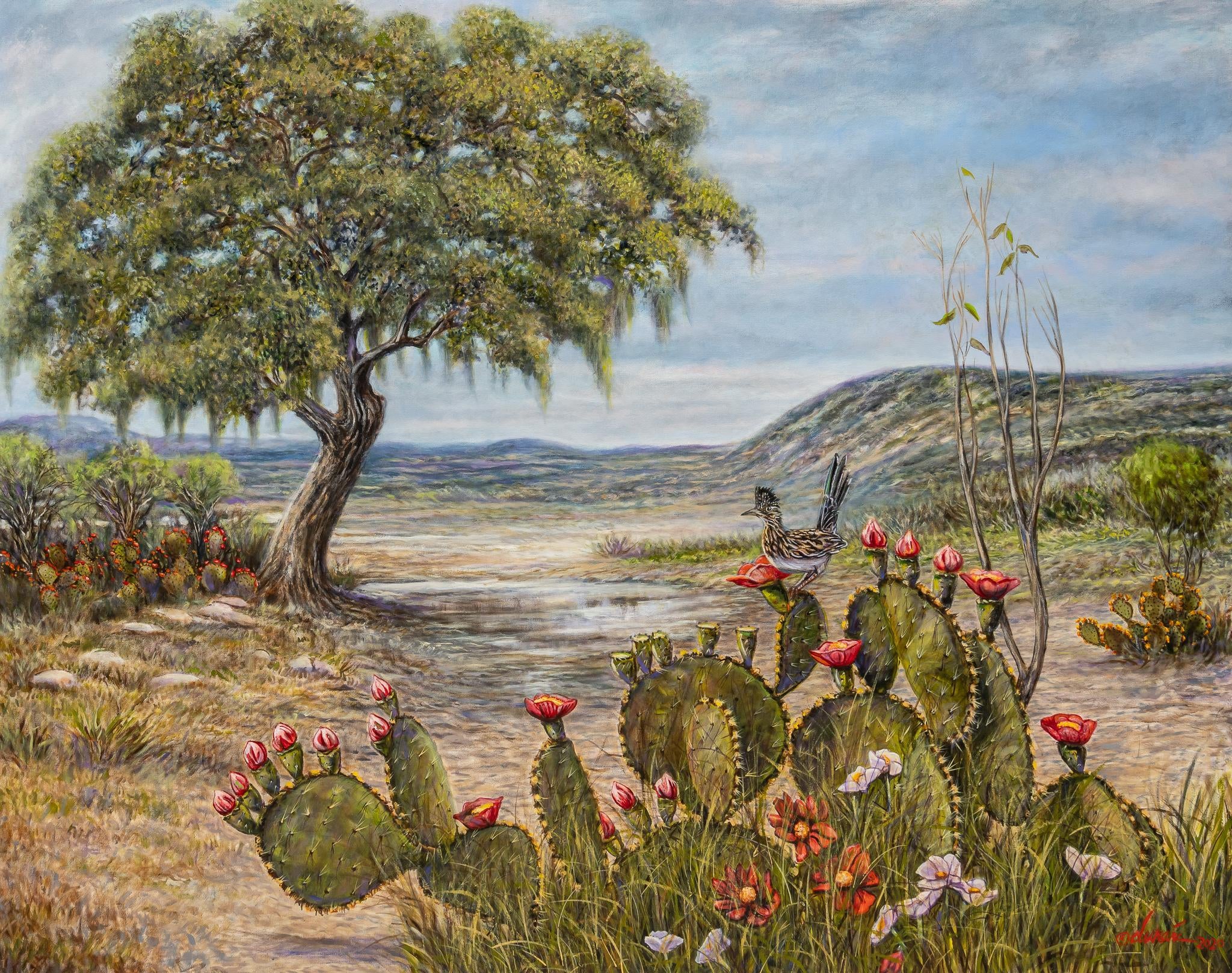 Gilbert Duran | Roadrunner in Cactus